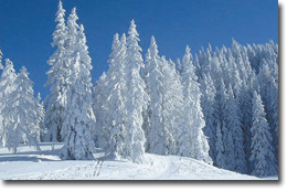 Schneeschuhlaufen, Schneeschuhwandern in Appenzell - zurück zur Natur