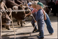 Ferien in Appenzell