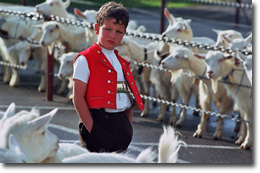 Appenzeller Produkte Appenzeller Naturheilmittel